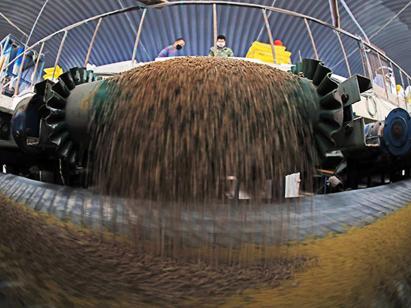 عند إنتاج 1 طن -20 طن في الساعة معدات خط إنتاج حبيبات مسحوق الأسمدة العضوية